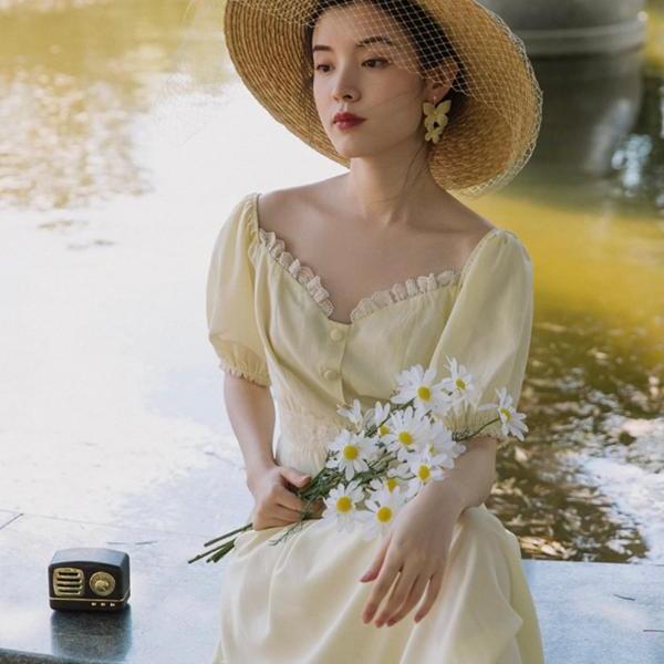 French Vintage Dress
