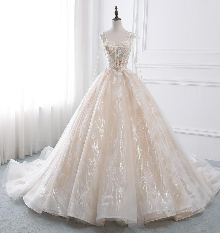 Wedding Dress Champagne Sweetheart Spaghetti Bridal Gown Glittery ...